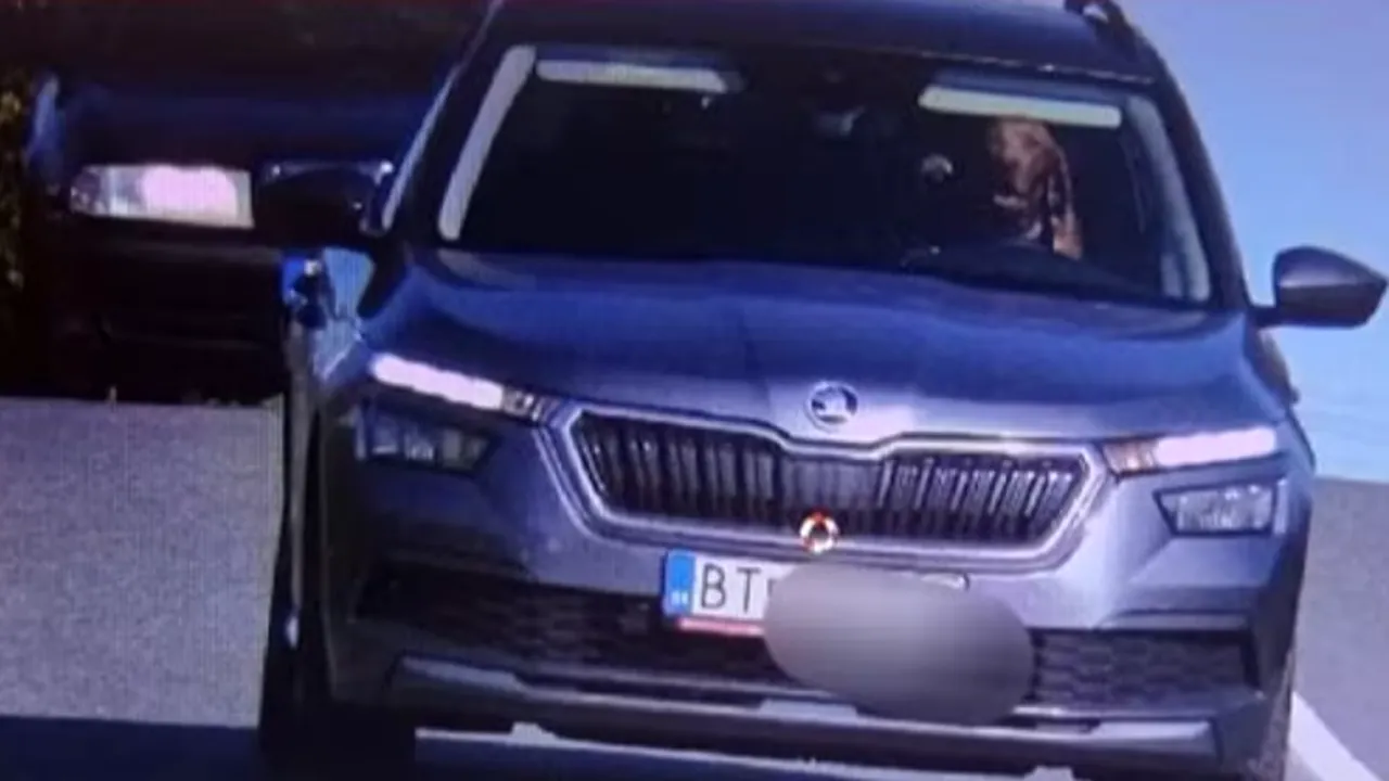 Şofer amendat după ce câinele său a fost surprins la volan de o cameră de viteză