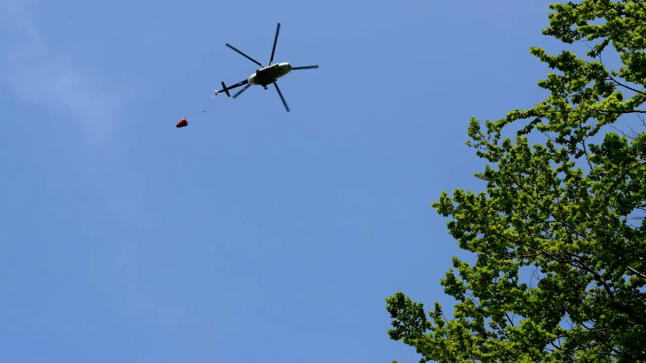 Două focare de incendiu, observate în această dimineaţă în Parcul Naţional Domogled. Intervin 140 de persoane de la sol şi un elicopter