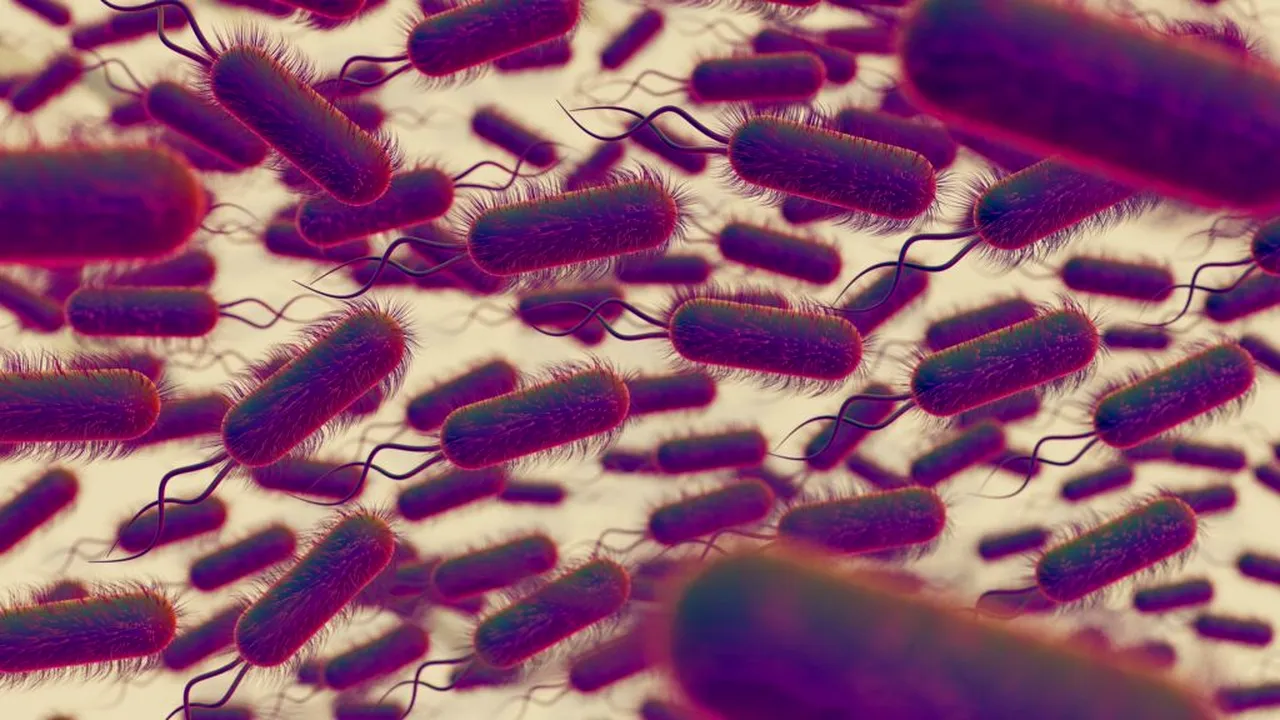 Microbiomul intestinal, afectat de alimente și poluare: 168 de substanțe chimice atacă bacteriile benefice