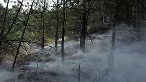 Peste 30 de pompieri sunt încă pe Muntele Roşu pentru a preveni reizbucnirea incendiului de la Cheia