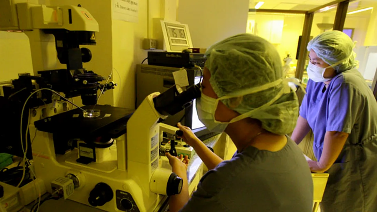 Fecundarea in vitro, asociată cu un risc crescut de naştere a unor bebeluşi morţi