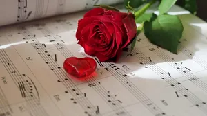 Știința sufletelor pereche: Există cineva care să fie perfect pentru tine?