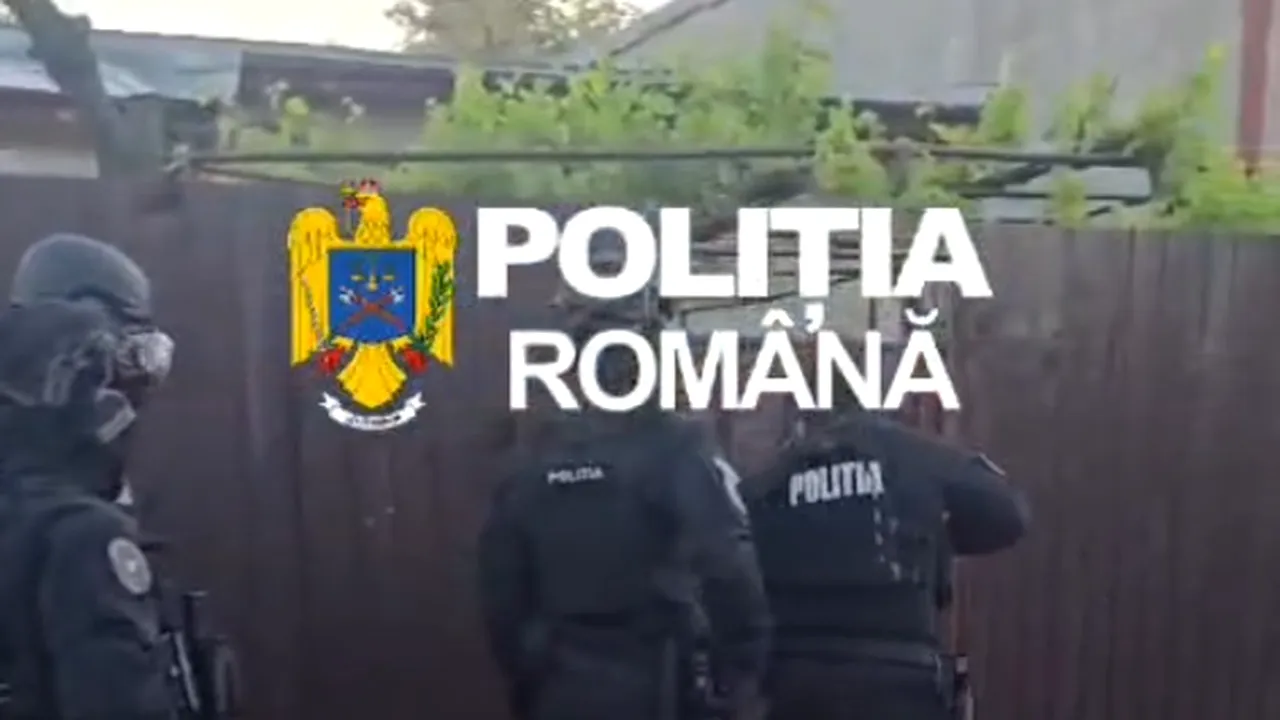 Percheziții în București și trei județe după atacul asupra „Măcelarului lui Bebino”. Polițiștii au ridicat arme și obiecte contondente
