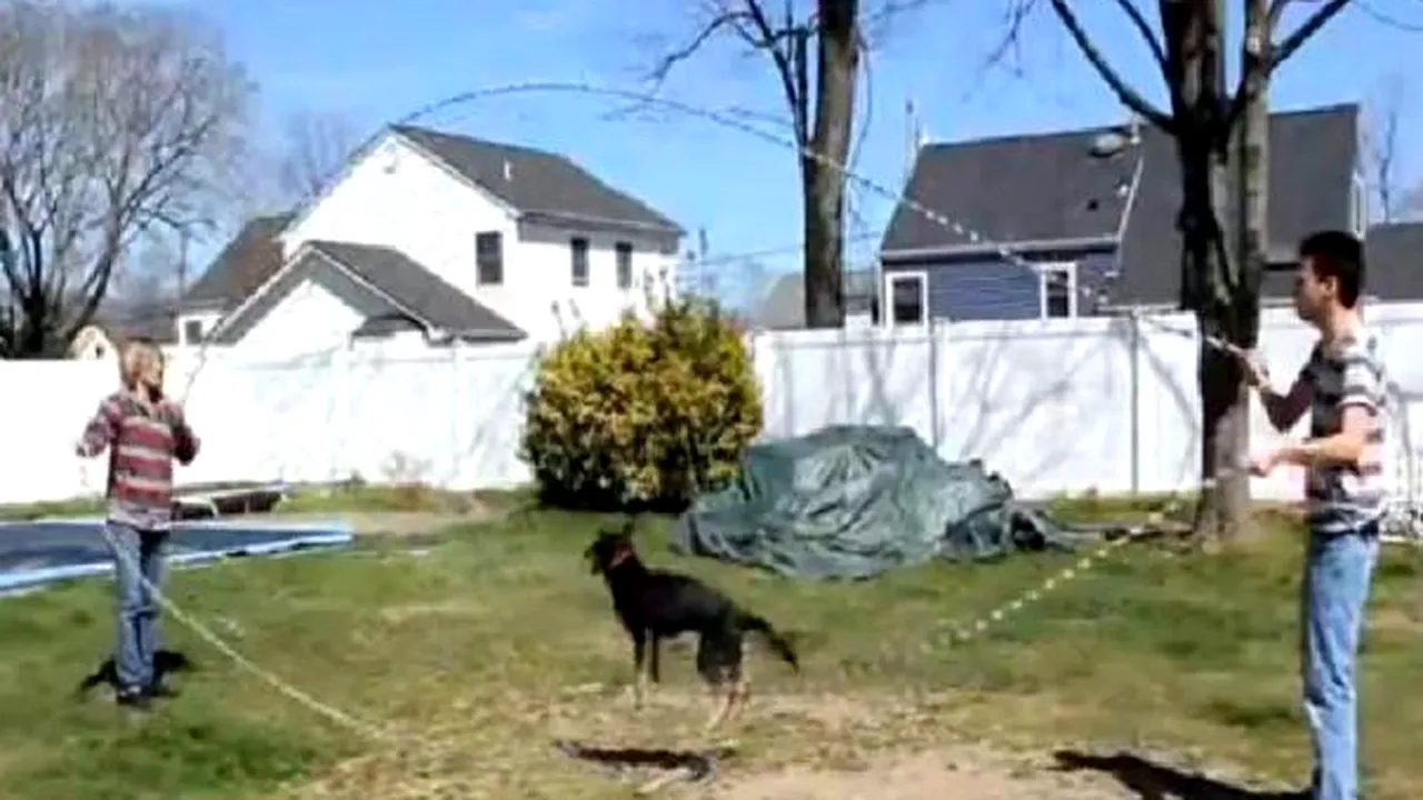 Un câine face senzaţie pe YouTube. Cât de bine ştie să sară coarda - VIDEO