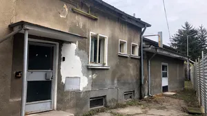 Gimnastică printre ruine | Performanţă în mucegai, fără lumină şi cu pereţi de pe care cade tencuiala, la Petrolul Ploieşti - VIDEO