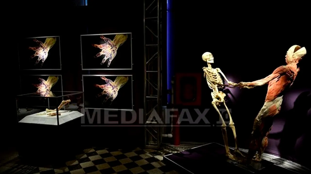 ProFM transmite în direct de la expoziţia 