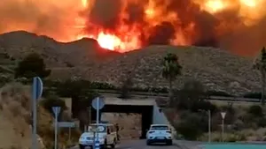 Rudele victimelor din incendiul din Almería, furioase: „Nu au primit nicio instrucțiune și au plătit cu viața!”