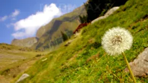 11 turişti, între care şapte copii, s-au rătăcit pe traseul montan spre Vârful Rarău