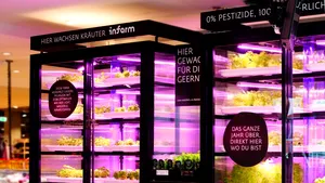 Financial Times: O companie germană vrea investiţii de 200 de milioane de dolari pentru extinderea fermelor verticale