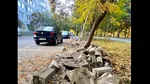 Primăria Sectorului 3 a fost amendată de Garda de Mediu pentru lucrări fără avize în Parcul IOR