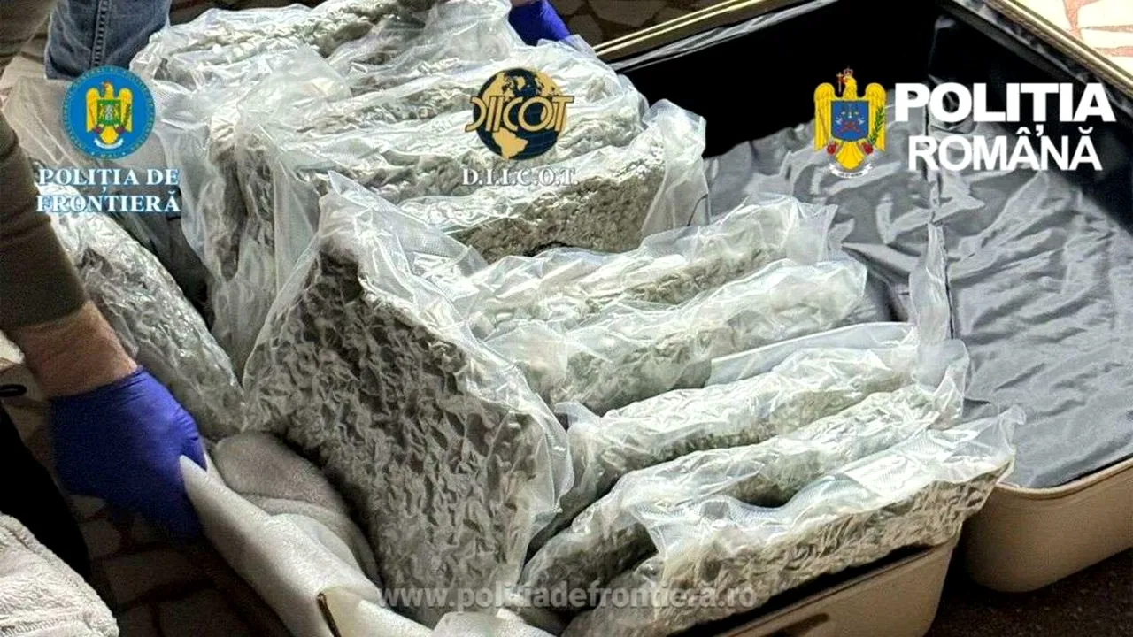 Tânăr cu dublă cetățenie, reținut după ce a fost prins cu 11 kilograme de Canabis. Drogurile urmau să fie vândute pe litoral