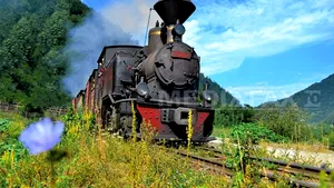 Nunţi, concerte şi peste 20.000 de turişti anul trecut în trenul cu aburi din Maramureş