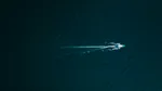 Prima bătălie navală dintre roboți a avut loc în Marea Neagră. Un sistem autonom ucrainean a scufundat un robot rusesc
