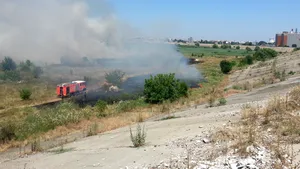 Un alt incendiu a izbucnit în Delta Văcăreşti