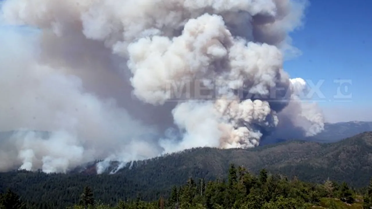 INCENDIUL din parcul naţional american Yosemite: Cine a provocat al patrulea cel mai mare foc din istoria Californiei