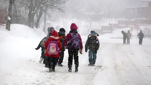 Cursuri suspendate în mai multe judeţe, din cauza vremii. Anunţul Ministerului Educaţiei