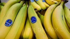 Un bărbat din SUA a fost arestat pentru că a ameninţat doi poliţişti cu o banană