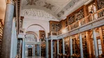 Cea mai veche bibliotecă din Ungaria, în pericol din cauza unei invazii a gândacilor