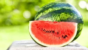 FOTO| Etichete pentru pepeni. Datele pe care trebuie să le afişeze de acum producătorii agricoli