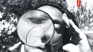 O carte pe zi: „Efectul de lupă. Câteva priviri asupra culturii contemporane”, de Teodor Baconschi