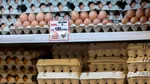 Locul din frigider unde nu trebuie păstrate ouăle, mai ales vara. Greșeala făcută de mulți români