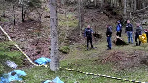 27 de câini, printre care 19 pui, au fost ucişi şi abandonaţi în Parcul Naţional Retezat