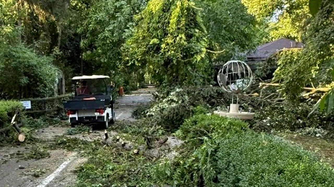 Pagube la Grădina Zoologică București. Primăria transmite că s-a decis închiderea temporară