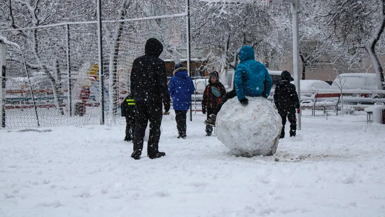 Bătaie generală cu bulgări de zăpadă într-un parc din New York