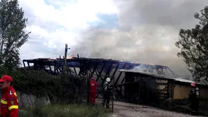 Incendiu la o fermă de animale din Prahova, flăcările sunt de 15 metri - GALERIE FOTO 