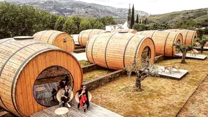 Afacerea unui tânăr din Gorj: să ofere cazare în butoaie lângă plantaţia sa de mure. FOTO