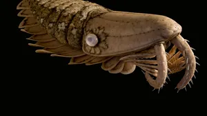 Un prădător marin străvechi a supravieţuit mai mult timp decât credeau oamenii de ştiinţă