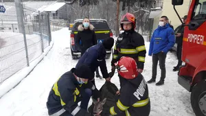 O căprioară a fost salvată din râul Bistriţa de către trei tinere sportive