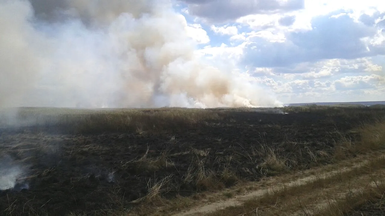 Sute de hectare de stuf şi vegetaţie au ars într-un incendiu în Rezervaţia Deltei Dunării - GALERIE FOTO, VIDEO