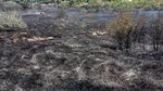 Incendiu puternic de vegetație în Vaslui. Au ars 12 hectare, iar șapte locuințe au fost salvate