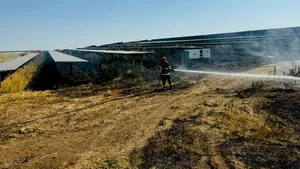 Giurgiu: 30.000 de panouri fotovoltaice au ars într-un incendiu pornit de la o scânteie mecanică