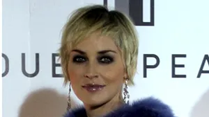 O maşină a lui Sharon Stone, vândută la o licitaţie în Dubai în beneficiul bolnavilor de SIDA