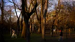 Prognoza pentru următoarele 4 săptămâni: Primăvara vine cu temperaturi ridicate