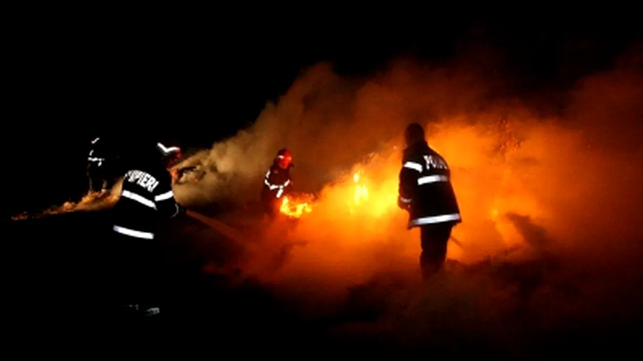 Incendiu puternic la un depozit de vopseluri şi materiale din Timişoara