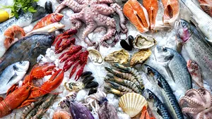 Peşte congelat versus peşte proaspăt: avantaje şi dezavantaje