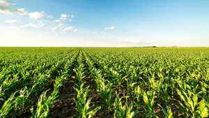 SGS își extinde activitatea de asigurare a calității în domeniul agricol prin achiziționarea Australian Superintendence Company