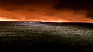 Incendiu puternic la stuf și vegetație uscată într-o zonă mlăștinoasă din județul Tulcea