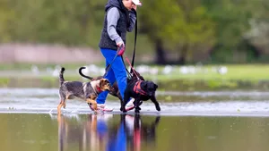 Coronavirus în România, 9 mai. Bucureşti, cea mai mică incidenţă din ultimele 8 luni. Situaţia pe judeţe
