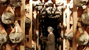 Gândul: Vânzările de porci româneşti, „îngrăşate“ de dioxina irlandeză