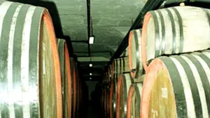 Dolj: Dinescu, dat în judecată pentru butoaiele de vin de la Galicea Mare