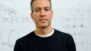 COMENTARIU Lelia Munteanu: Lumina de la capătul covidului