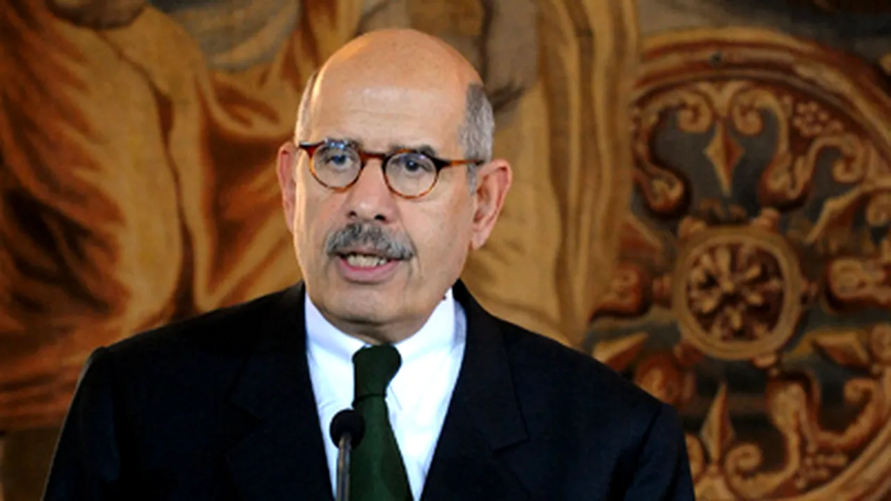 Şeful armatei egiptene s-ar fi întâlnit cu Mohamed ElBaradei