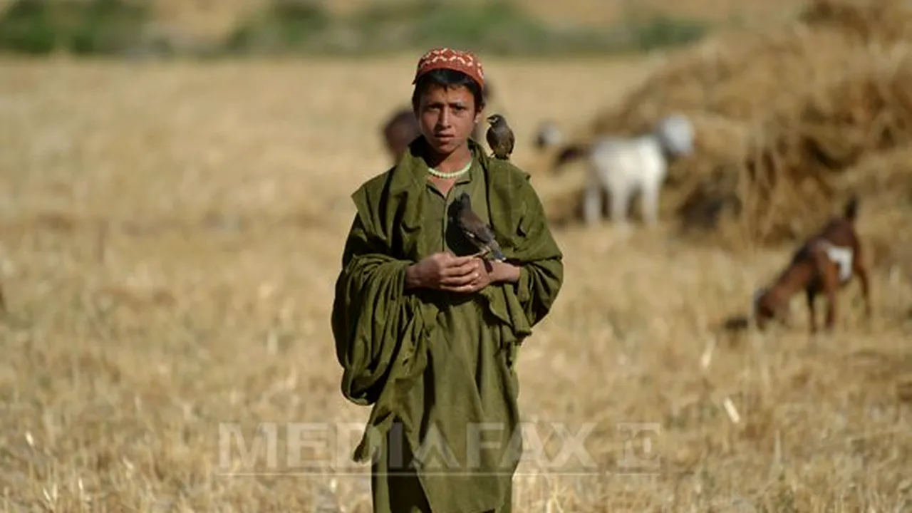 Peste 80 de persoane au murit în Afganistan în urma alunecărilor de teren provocate de seisme