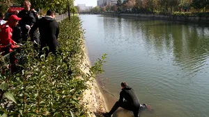 Primăria Capitalei montează parapeţi din beton şi limitatoare de viteză pe malurile Dâmboviţei