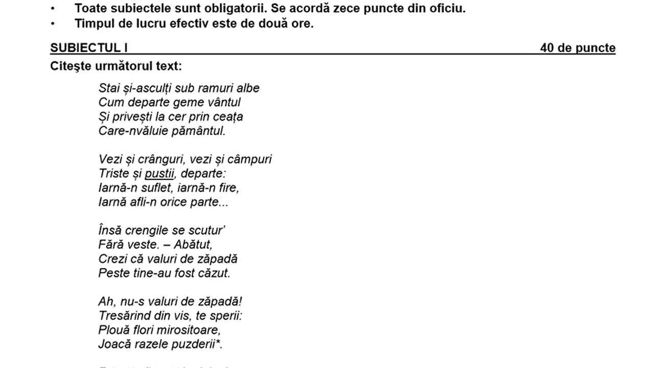 Eroare la simularea de la Evaluarea Naţională la limba română. Poezia unui poet german, atribuită lui St. O. Iosif