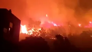 Incendiile din Grecia au evacuat satele din nord-estul Mării Egee. Insula Chios este cuprinsă de flăcări